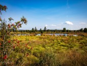 Naturführerkurs 2024 im Naturzentrum Haus Ternell, Eupen - Das Hohe Venn bei Ternell